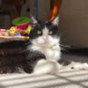 Meet your Posher, Karen